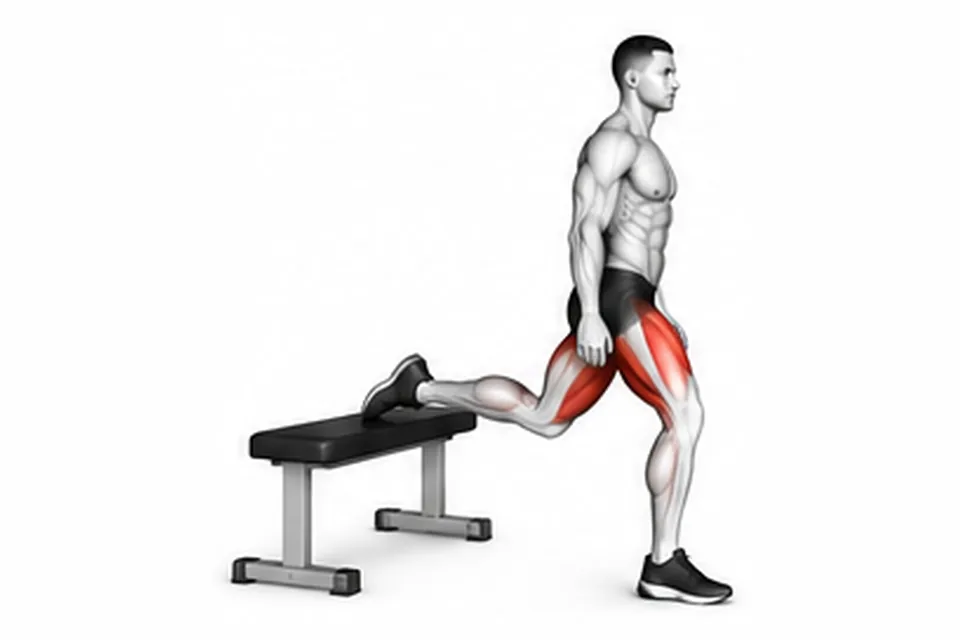 Bulgarian Split Squat: technique animation