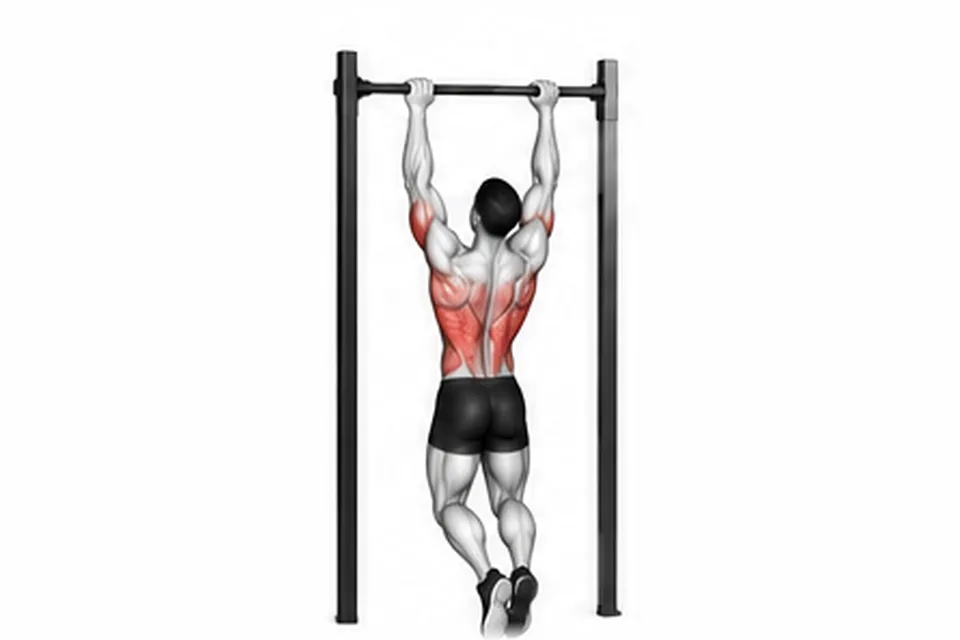 Chin-Up: technique animation