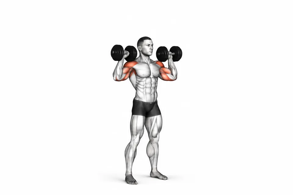 Dumbbell Shoulder Press: technique animation
