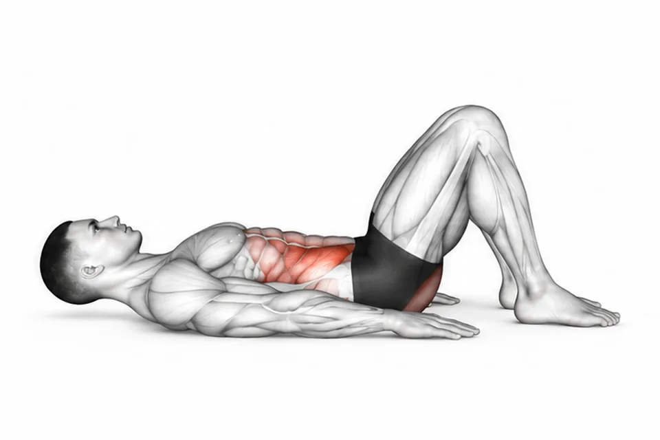 Glute Bridge: technique animation