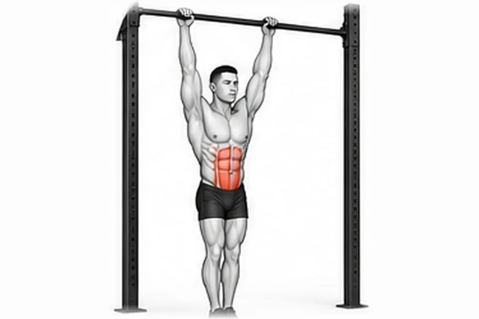Hanging Leg Raise: technique animation