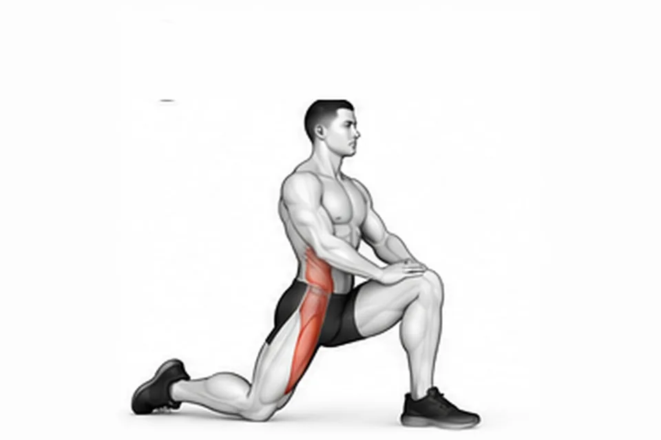 Kneeling Hip Flexor Stretch: technique animation