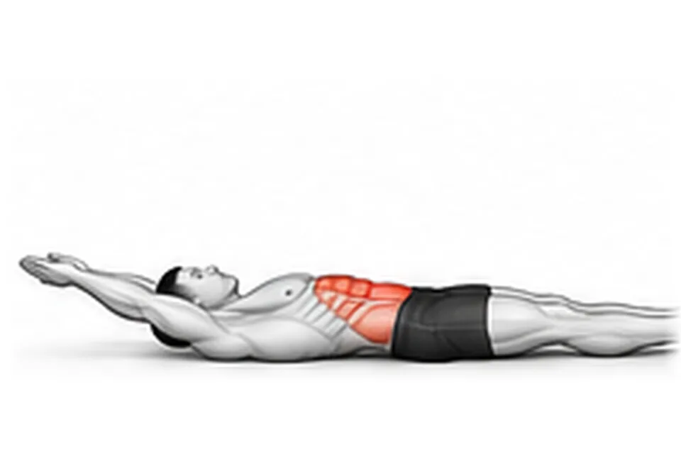 Hollow Body Hold: technique animation