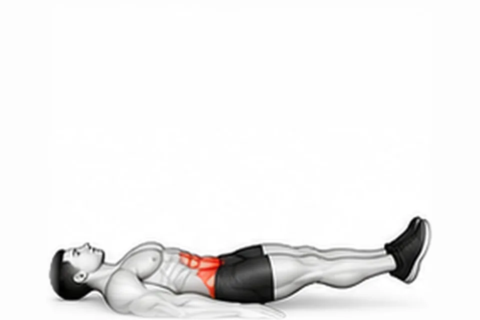 Lying Leg Raise: technique animation