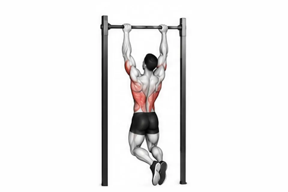 Pull-Up: technique animation